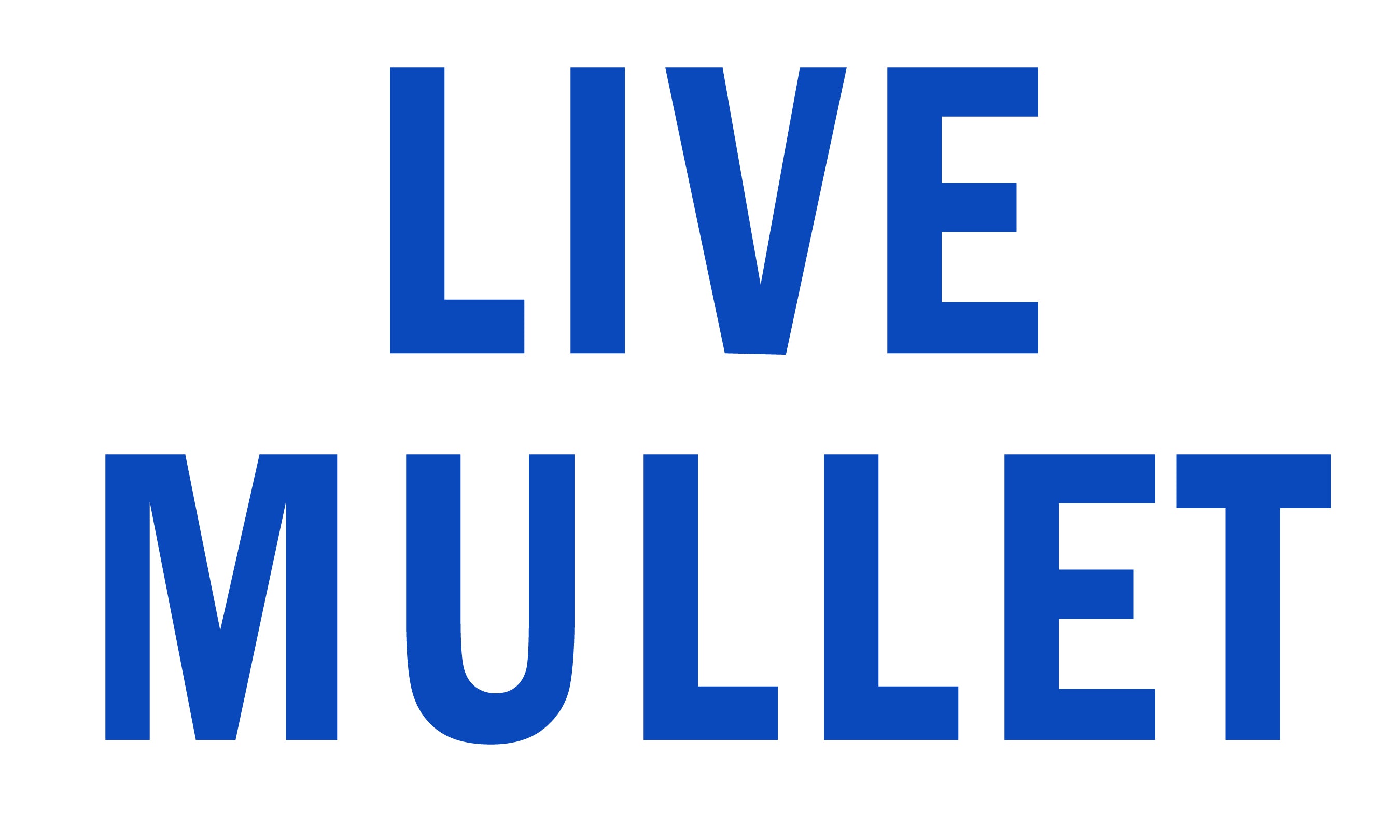 Live Mullet 3' x 5' Polyester Flag