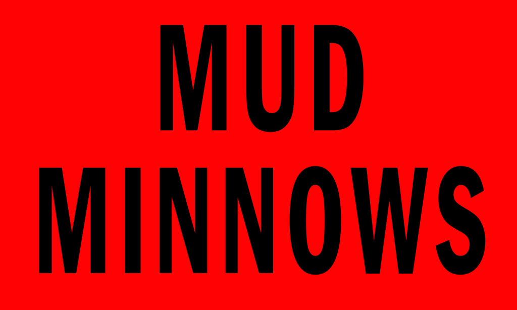 Mud Minnows 3' x 5' Polyester Flag