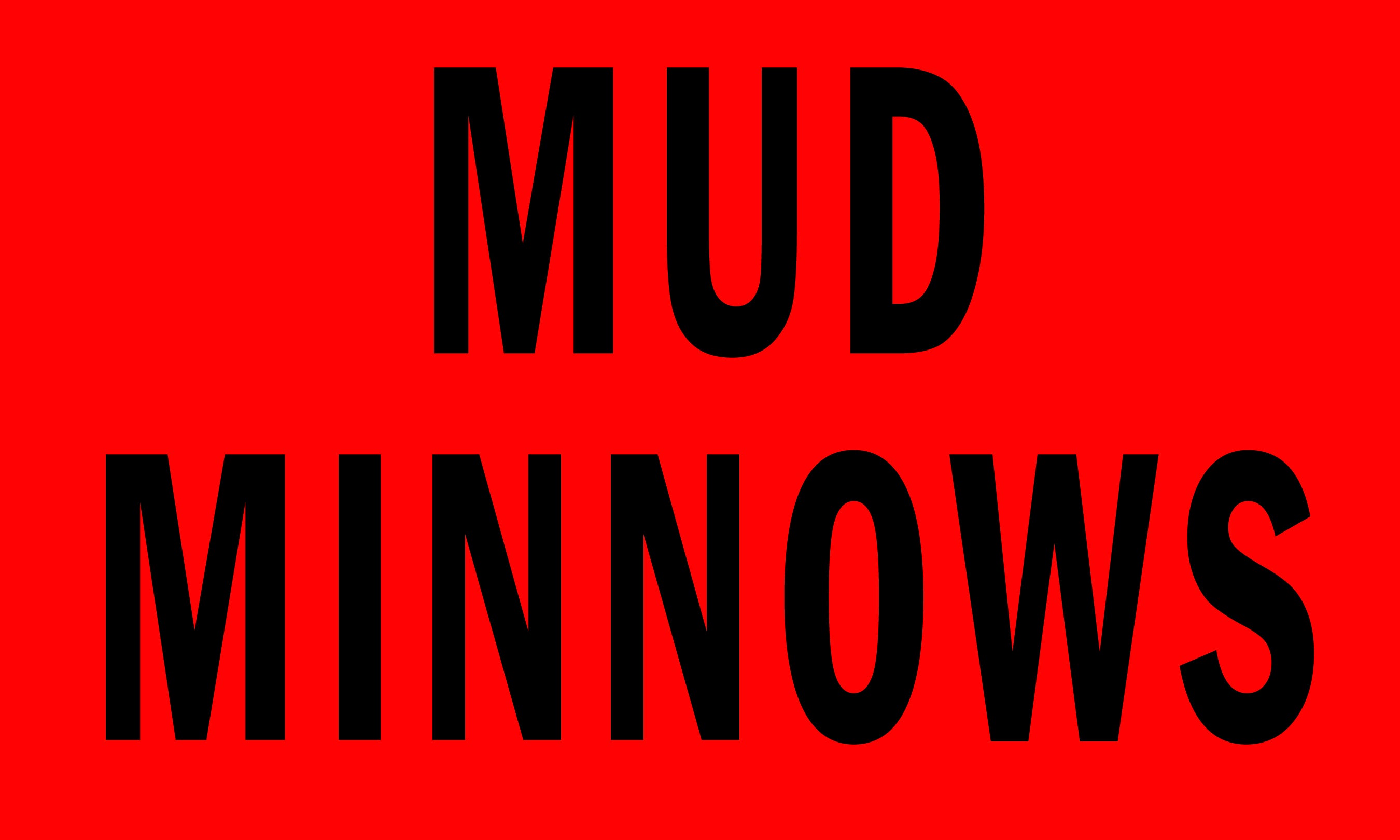 Mud Minnows 3' x 5' Polyester Flag