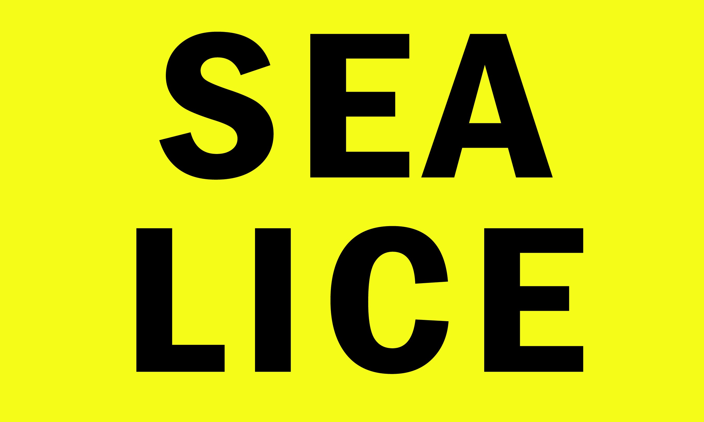 Sea Lice 3' x 5' Polyester Flag