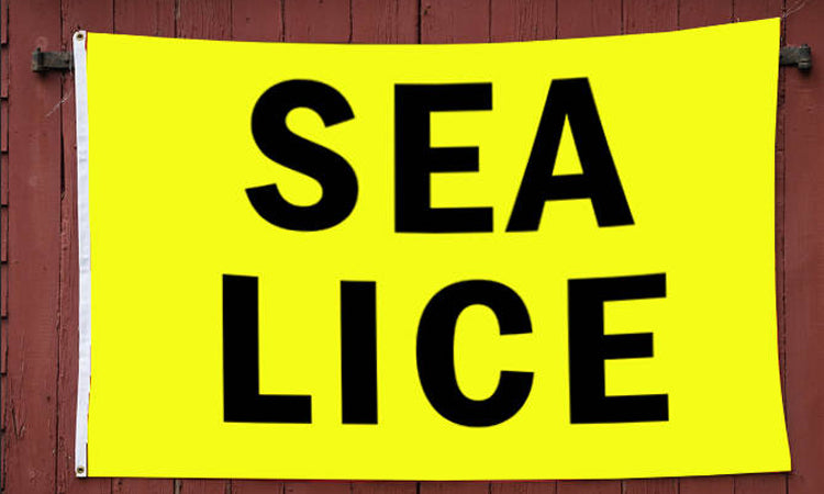 Sea Lice 3' x 5' Polyester Flag
