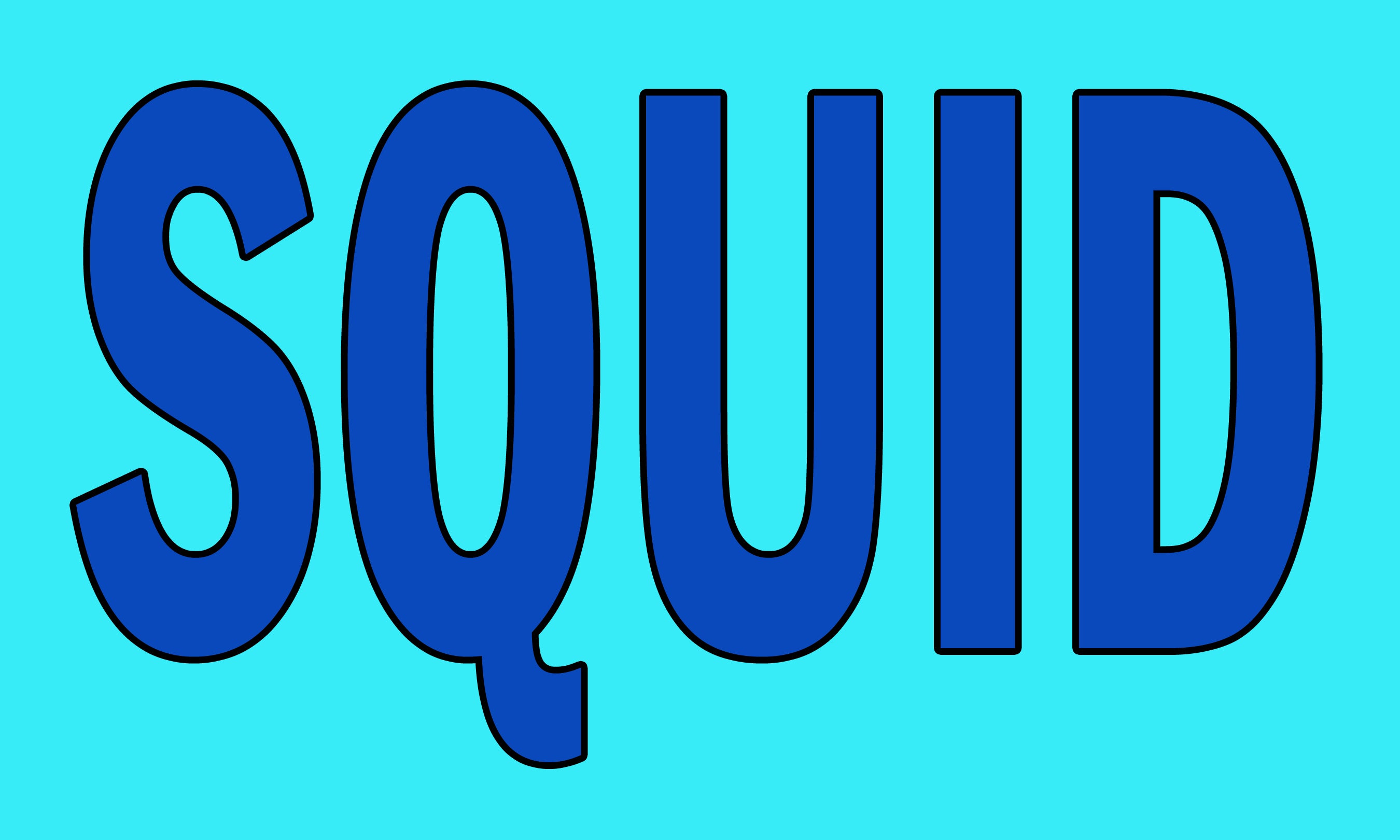 Squid 3' x 5' Polyester Flag