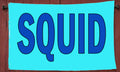 Squid 3' x 5' Polyester Flag